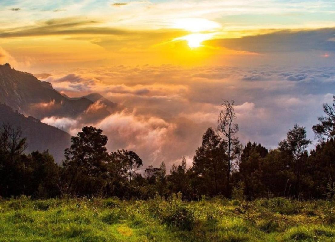 Cloud Walk Bed & Breakfast Kodaikanal Exterior foto
