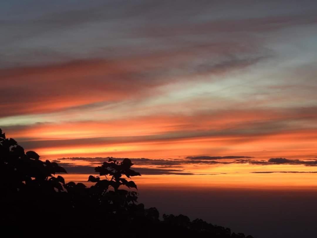 Cloud Walk Bed & Breakfast Kodaikanal Exterior foto