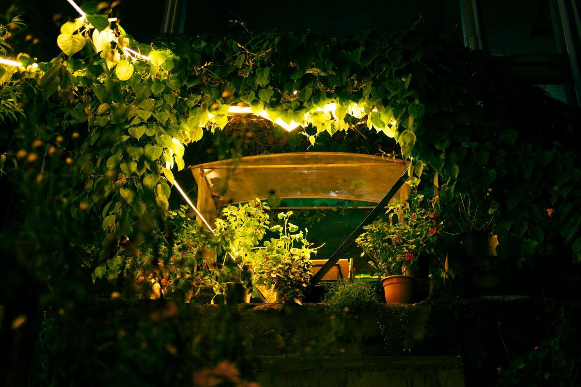 Cloud Walk Bed & Breakfast Kodaikanal Exterior foto